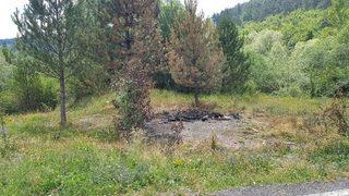 (özel Haber) Başıboş Köpeklerin Kaldığı Barınak Yandı