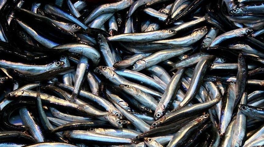 &Ouml;nce Tescillendi, Şimdi İse Coğrafi İşareti Alınacak