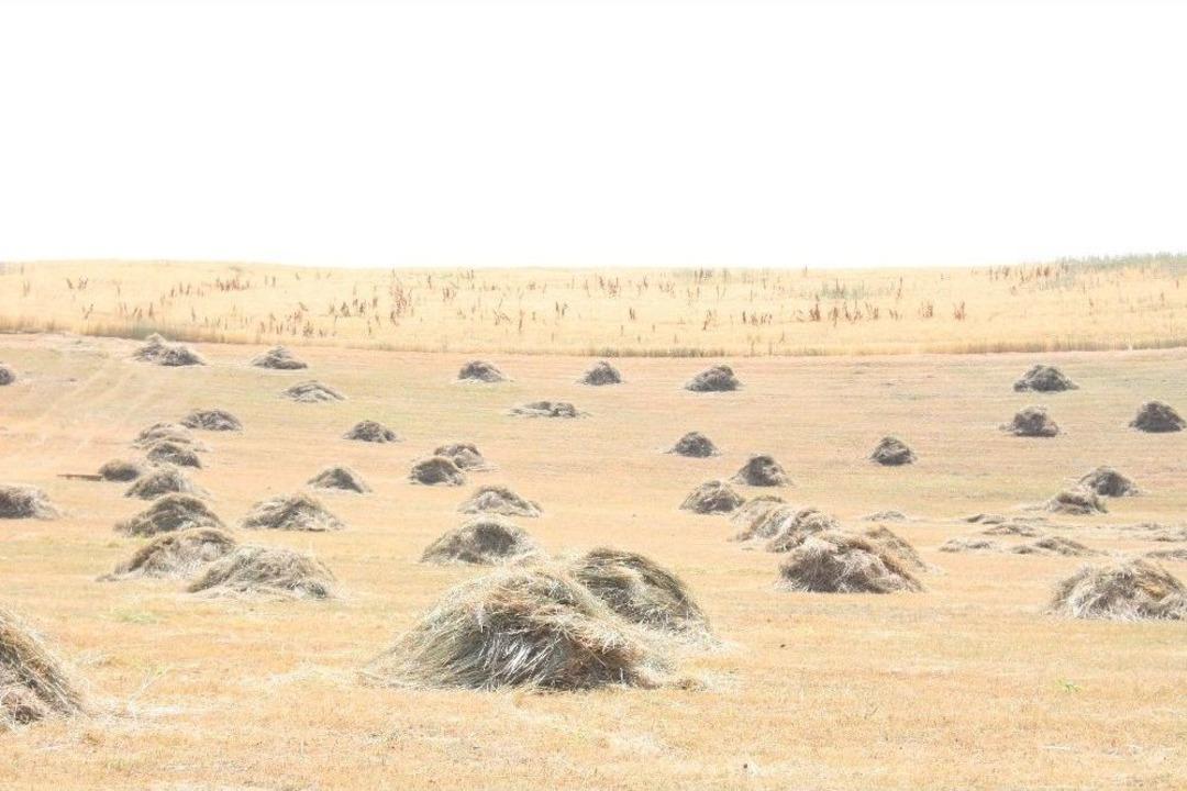 Minik Leyla&rsquo;nın Elbiseleri Tarlada Bulundu