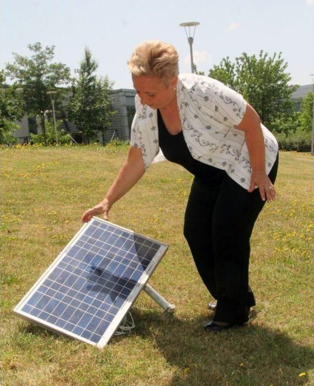 Doğu Karadeniz’in İlk Güneş Enerji Santrali Onay Bekliyor