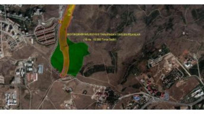 S&ouml;k&uuml;len Ağa&ccedil;ların Yerine Yenileri Dikiliyor