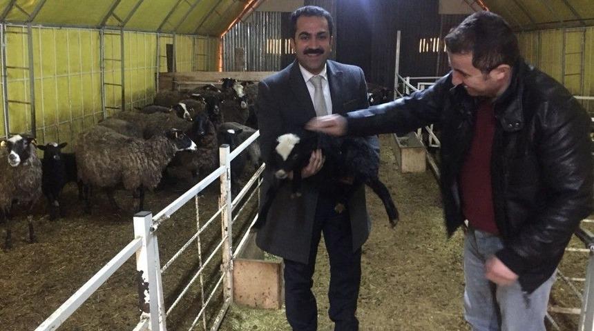 Vantb Başkan Adayı Tandoğan&rsquo;ın İl&ccedil;e Ziyaretleri