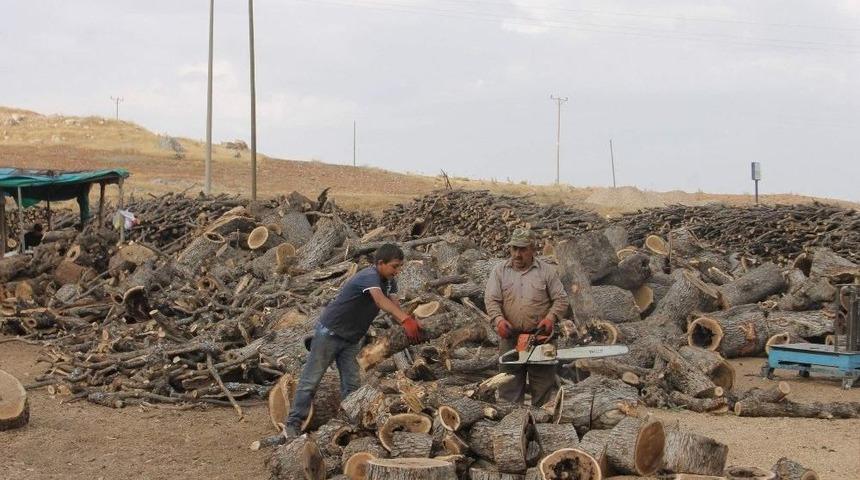 Siirtli Oduncular Satışlardan Memnun
