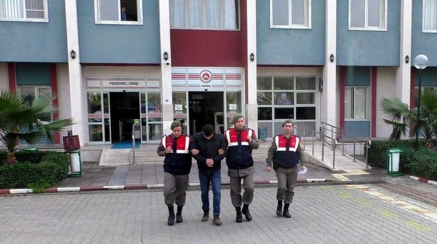 Organ Taciri Tutuklandı