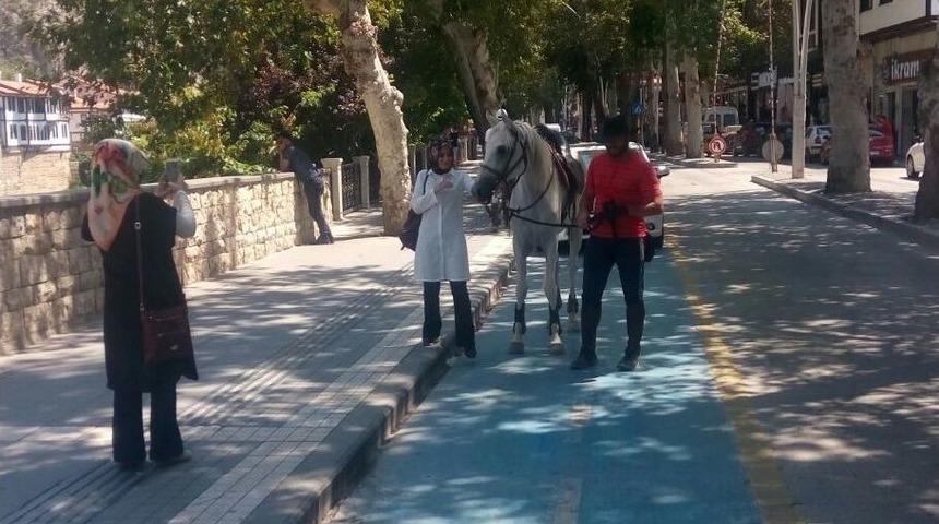 Kovboy Değil &Ouml;ğretmen