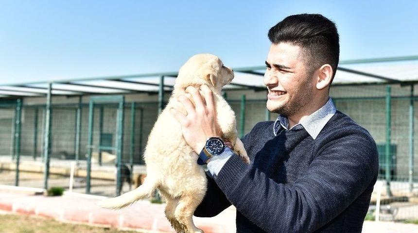 Muratpaşa&rsquo;da 541 Kedi Ve K&ouml;pek Sahiplendirildi
