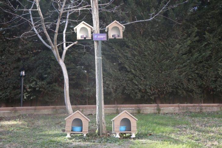 Küçükçekmece’de Soğuk Kış Günlerinde Minik Dostlar Unutulmadı G2