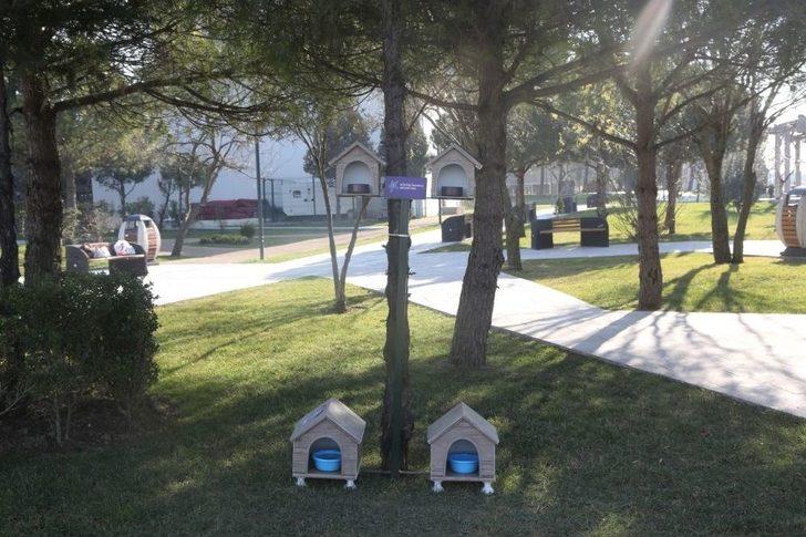 Küçükçekmece’de Soğuk Kış Günlerinde Minik Dostlar Unutulmadı G3