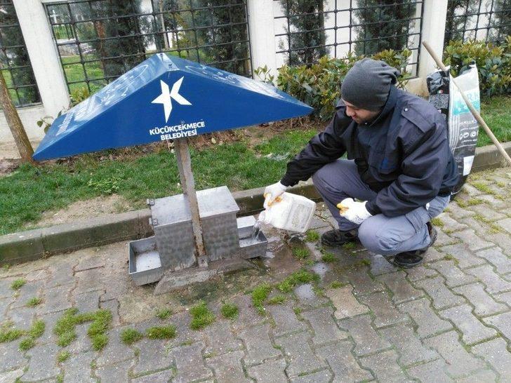 Küçükçekmece’de Soğuk Kış Günlerinde Minik Dostlar Unutulmadı G4