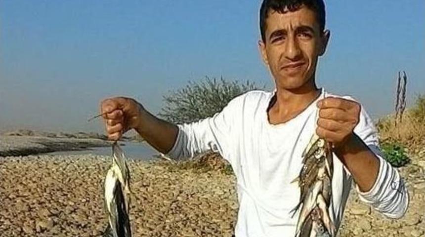 Silvan’dan Bir Kötü Haber Daha