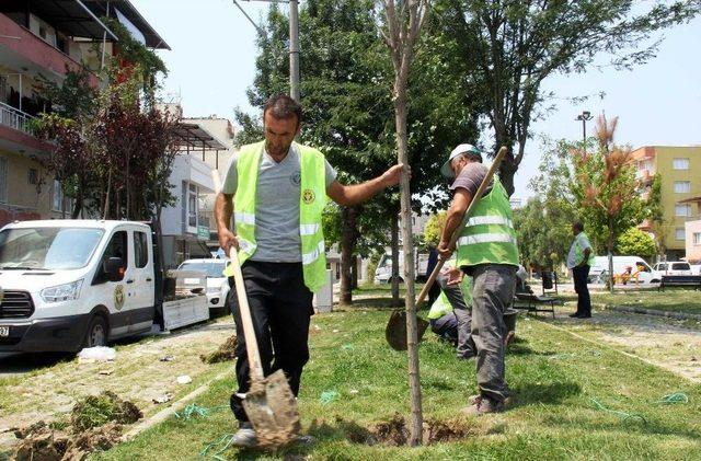 Buca Parklarına Yoğun Mesai