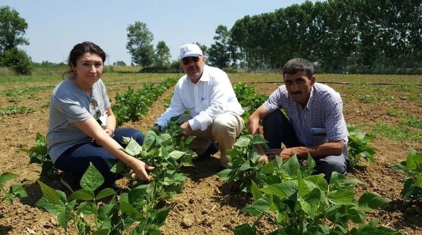 &Ccedil;ift&ccedil;ilerin &Uuml;r&uuml;nlerini B&uuml;y&uuml;kşehir Kontrol Ediyor