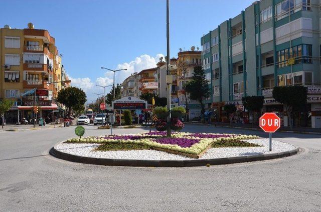 Alanya Çiçeklerle Renklendi