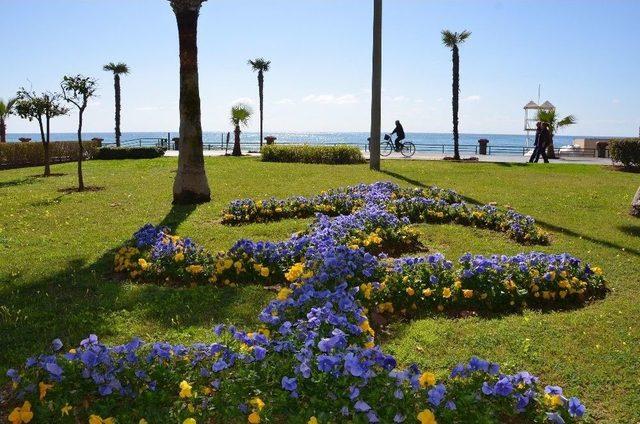 Alanya Çiçeklerle Renklendi