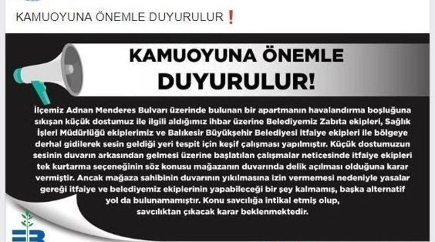 &Ouml;l&uuml;me Terk Edilen Kedi İle İlgili A&ccedil;ıklama Yapıldı