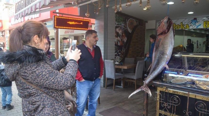 G&ouml;renler &Ouml;nce Şaşırdı, Sonra Cep Telefonlarına Sarıldı