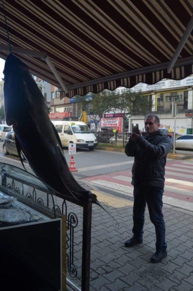 Görenler Önce Şaşırdı, Sonra Cep Telefonlarına Sarıldı