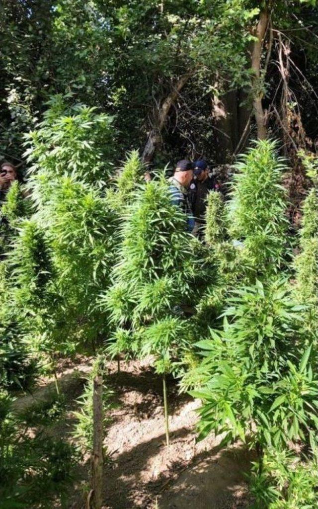 Diyarbakır&rsquo;da Ter&ouml;r&uuml;n Finans Kaynağına Darbe 1