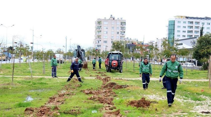 Mezitli&rsquo;de Sele Karşı D&uuml;zenleme Yapılıyor