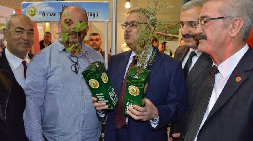 Orman B&ouml;lge M&uuml;d&uuml;rl&uuml;ğ&uuml; Fuarda Fidan Dağıttı
