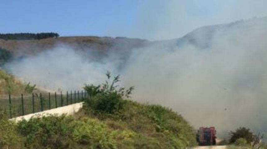 Sinop&rsquo;ta Yangında 1 Hektarlık Alan Zarar G&ouml;rd&uuml;