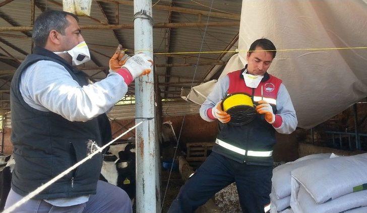 Kara Sinekle Mücadelede Türkiye’de Bir İlk G3