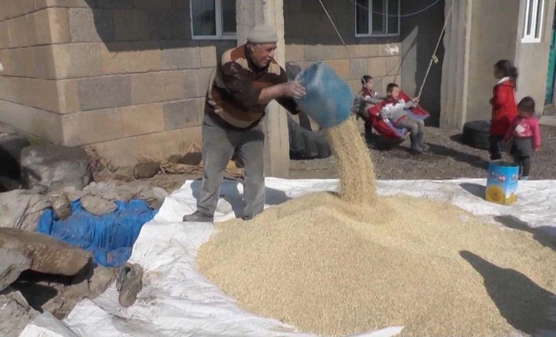 Kuyularda Saklanan Buğday Ve Arpalar Toprakla Buluştu