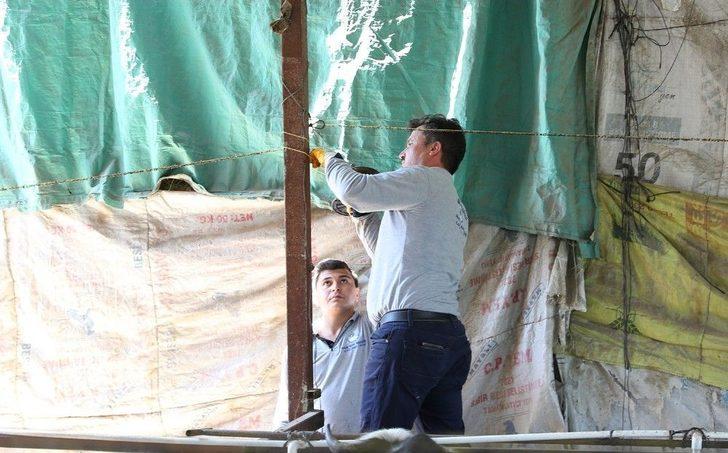 Kara Sinekle Mücadelede Türkiye’de Bir İlk G1