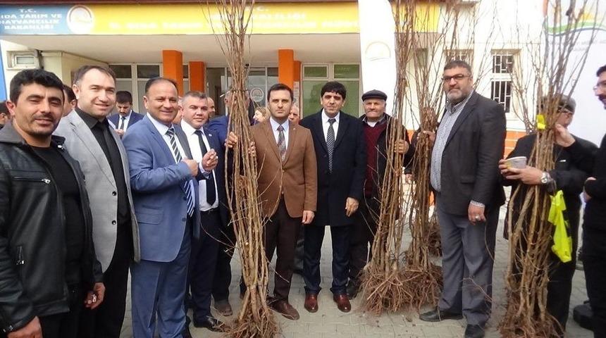 Iğdır&rsquo;da &Ccedil;ift&ccedil;iye Fidan Dağıtımı Yapıldı