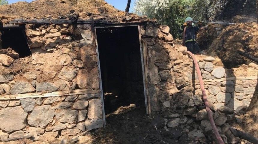 Yangında 9 B&uuml;y&uuml;kbaş Hayvan Telef Oldu