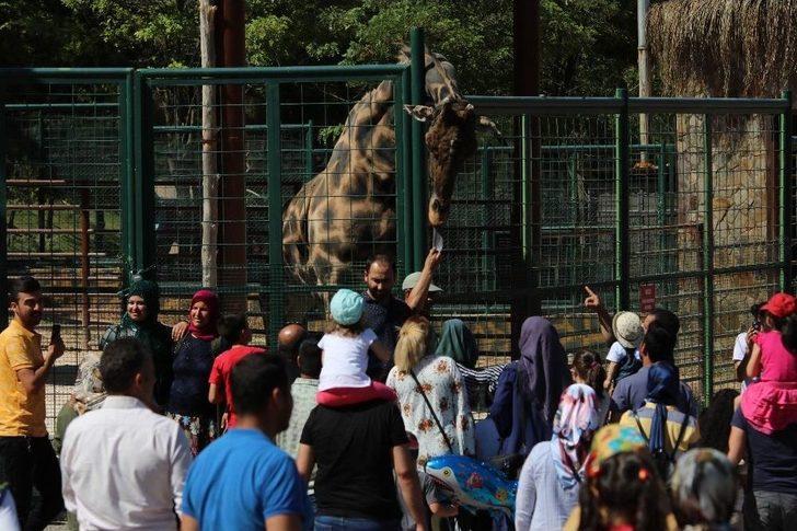 Ziyaretçilerin Zürafa İle Fotoğraf Keyfi G2