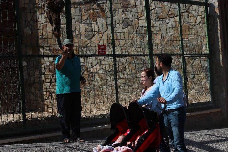 Ziyaretçilerin Zürafa İle Fotoğraf Keyfi G4