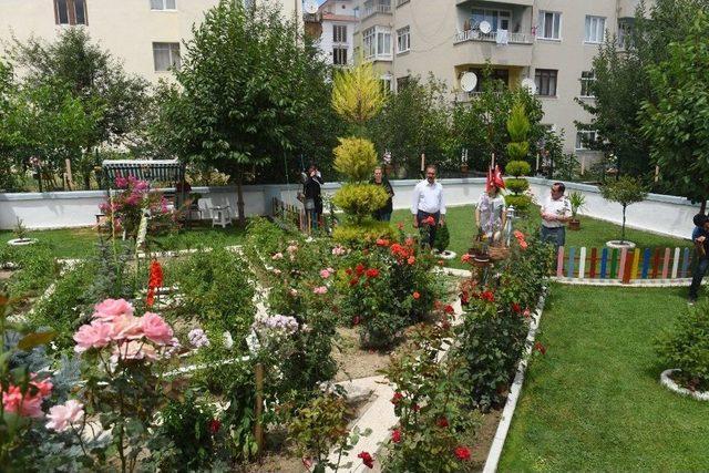 En Güzel Balkon Ve Bahçe Yarışması