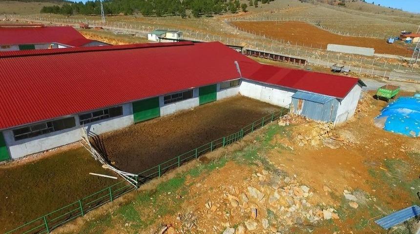 Beyşehir&rsquo;de Organize Hayvancılık B&ouml;lgesi Hayvancılığın Yeni Merkezi Oldu