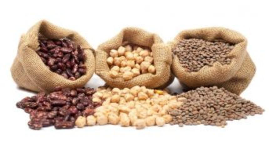 Ahbib’in Haziran Ayı İhracatı 68.8 Milyon Dolar