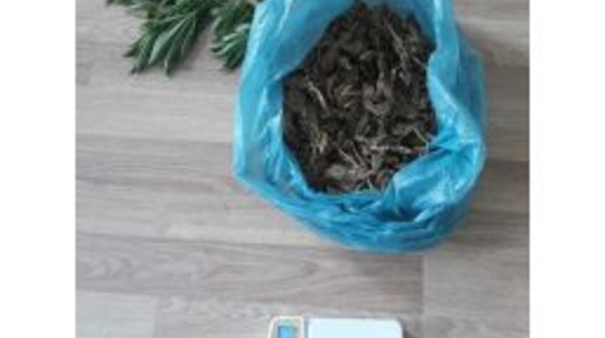 Hatay’da Uyuşturucu Operasyonu