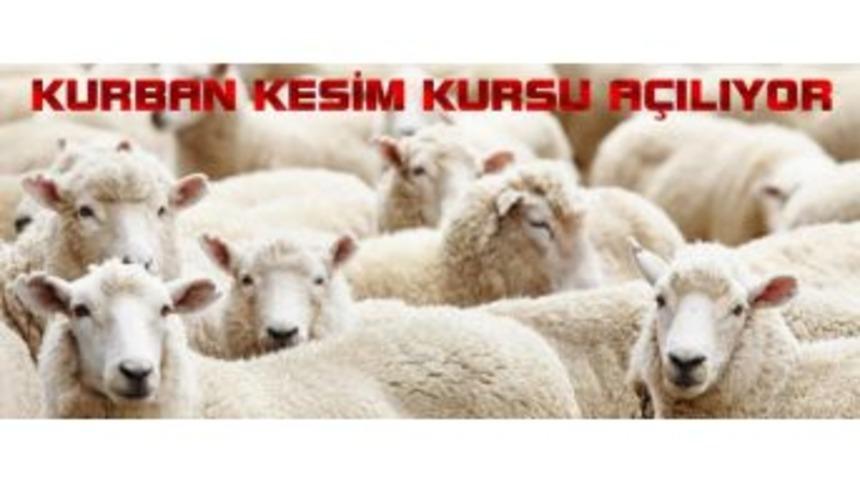 Kumluca’da Kurban Kesim Kursu Açılacak