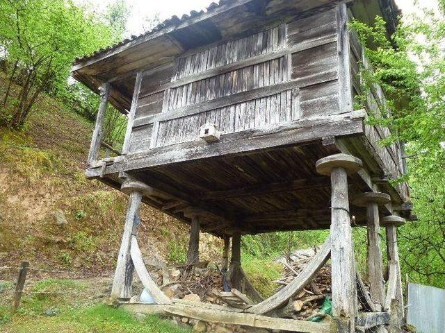 Serenderler Artık Kullanılmıyor 2