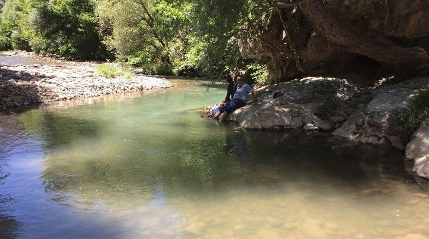 Arapgir&rsquo;e Hayran Kaldılar