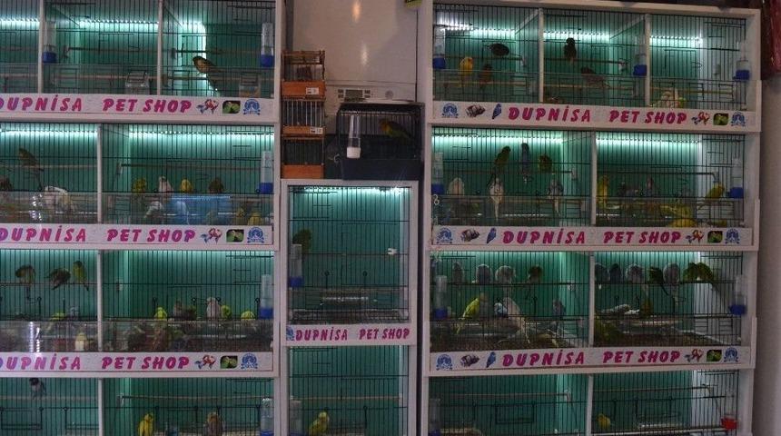 Ev Ve S&uuml;s Hayvanı Satış Yerleri Denetlendi