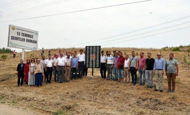 15 Temmuz Şehitleri, Hatıra Ormanında Anıldı