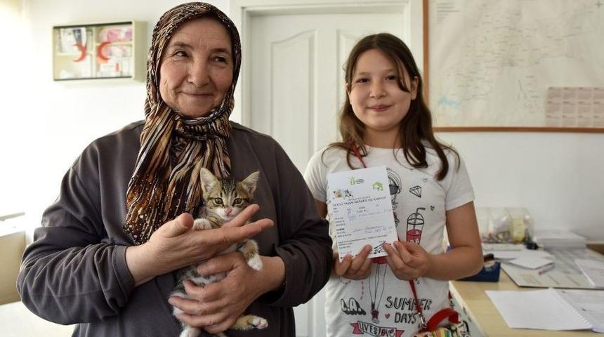 Doğal Yaşam Merkezi, 6 Ayda 532 Hayvan Sahiplendirdi