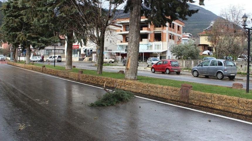 Denizli&rsquo;de Fırtına Hayatı Olumsuz Etkiledi