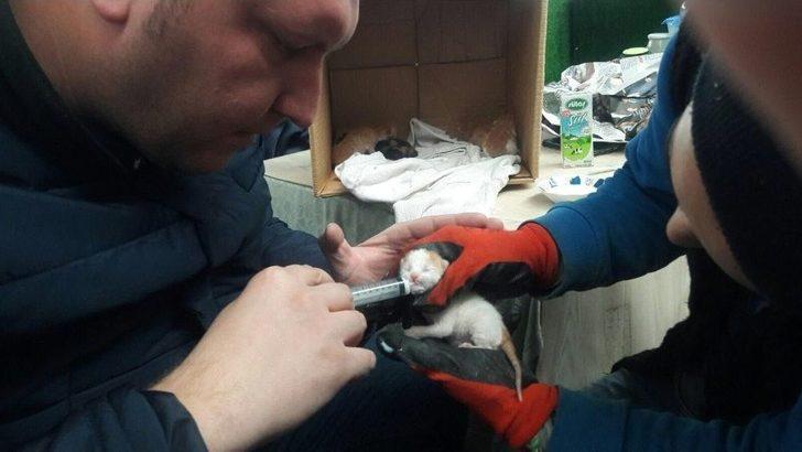 Yavru Kedileri Temizlik İşçisinin Dikkati Kurtardı G2