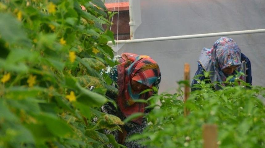 &Uuml;rkmezer, &ldquo;sakem Hayatın Her Alanında Var&rdquo;