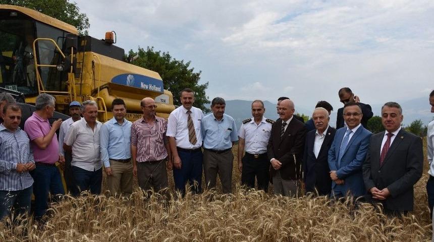 Anıza Direk Ekim Makinesi İle Hububat Ekimi Yapıldı