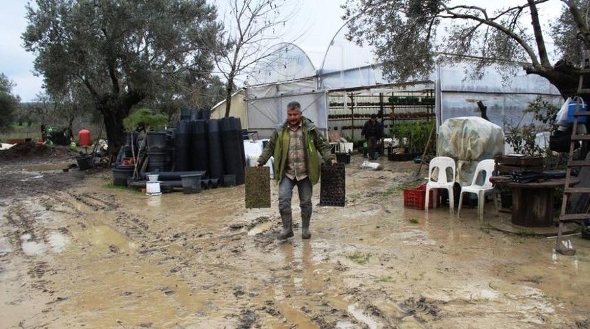 Ayvalık&rsquo;ta Şiddetli Yağış Ekili Arazileri Vurdu