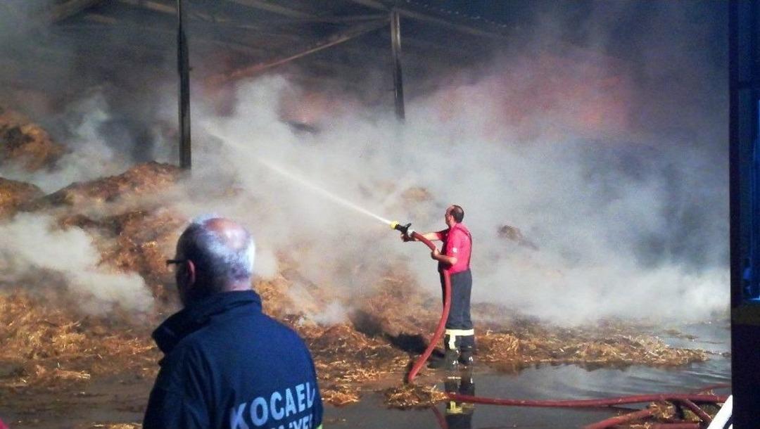 Kocaeli&rsquo;de &Ccedil;iftlikte &Ccedil;ıkan Yangın 3 Saat Sonra Kontrol Altına Alındı