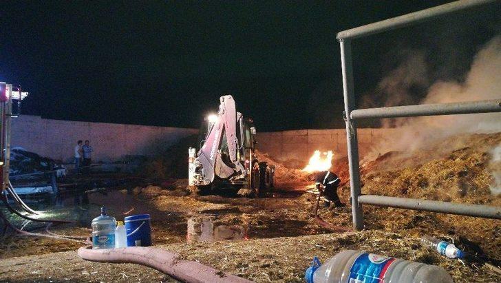 Kocaeli’de Çiftlikte Çıkan Yangın 3 Saat Sonra Kontrol Altına Alındı G3