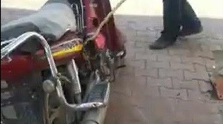 Motosiklete Giren Yılan İtfaiye Ekiplerini Uğraştırdı